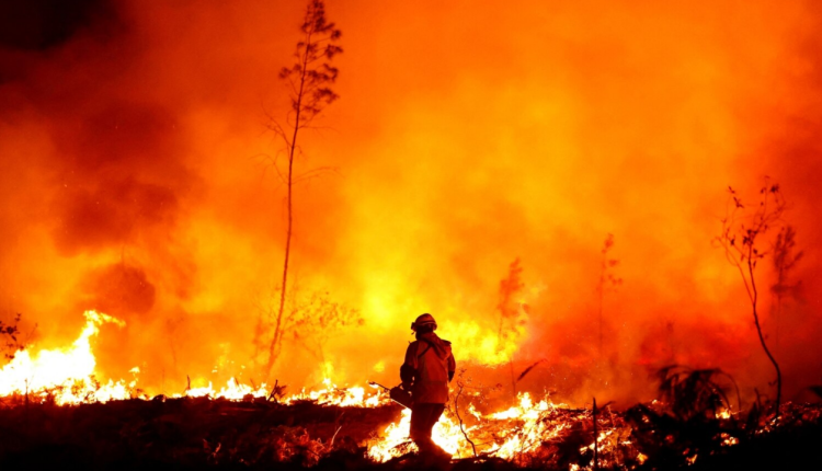 France must “invest more in fighting fires”