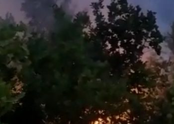 Deliberate fire is suspected!  Covered by forest fires in Maliq