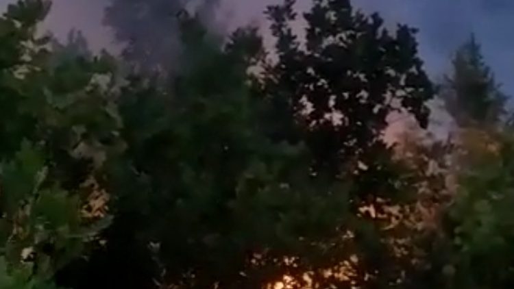 Deliberate fire is suspected!  Covered by forest fires in Maliq