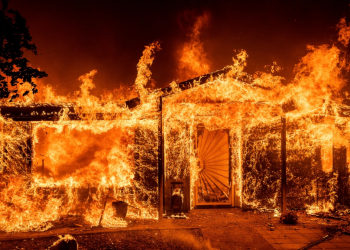 The USA and Europe are scorched!  State of emergency with fires and casualties