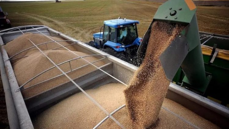 How is Russia stealing wheat from Ukraine?