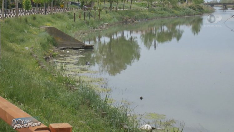 Fiks Fare/ Investments of half a million euros, dead animals and sewage from Lezha are thrown into the Drin river