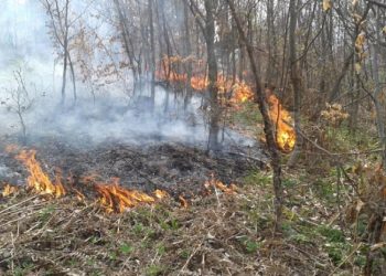 26 fires in the last 24 hours, 435 firefighters with 46 vehicles and a helicopter are engaged in extinguishing them