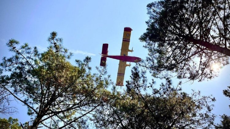 “Heat apocalypse”/ Alarming situation with the fires in France