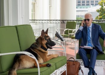 Biden almost recovered from COVID, the doctor tells about his health condition