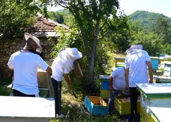 Honey time.  The most important moment of a beekeeper’s work