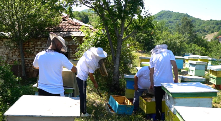 Honey time. The most important moment of a beekeeper’s work
