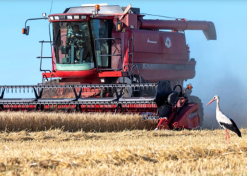 The price of wheat increases after the rocket attacks in Odesa