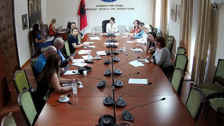 Register of pedophiles/ Parliamentary commissions start discussing the project