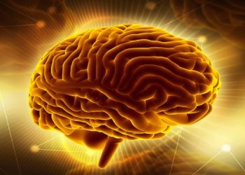 The link between polluted air and dementia