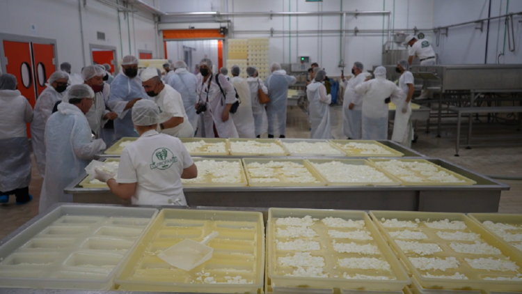 Tourism with traditional cheese / Albanian-Greek cooperation to promote trade