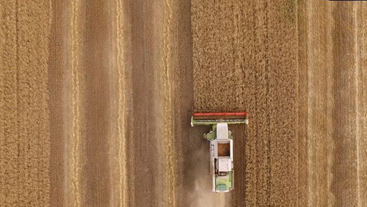 Russia begins shipments of grain from the occupied territories of Ukraine