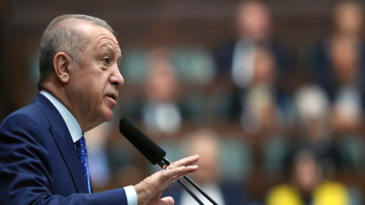 The critical state of wheat export, Erdogan talks with Putin and Zelensky