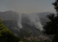Study: The fires are changing in Europe, the most endangered Balkans