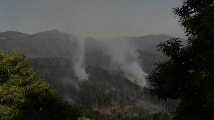 Study: The fires are changing in Europe, the most endangered Balkans