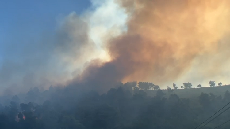 Another fire is activated in Balldre of Lezha, a large area of pine trees burns