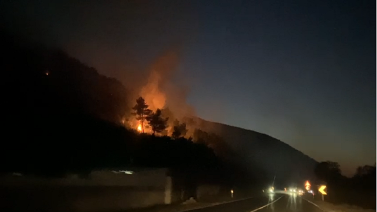 The fire continues in Balldre of Lezha, the fire department does not intervene because of the terrain! Housing is at risk