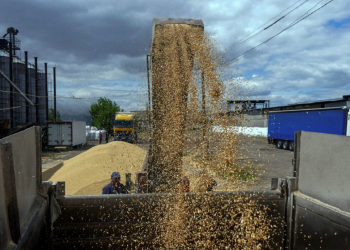 Ukraine announces that it is working to resume grain exports