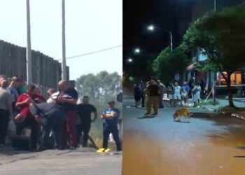 Two assassinations with four dead within six days/ Settlement between gangs, the police cannot stop and discover them
