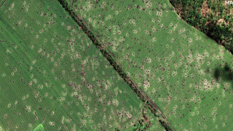NASA: Russia controls over 22 percent of agricultural land in Ukraine