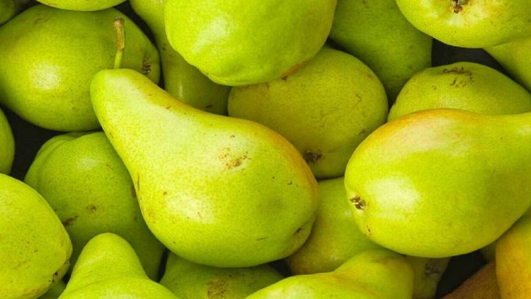 Discover the rare values of Albanian pears here