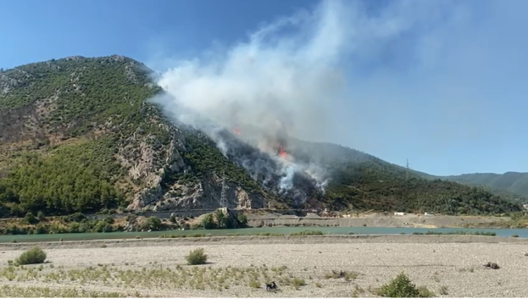 Fires do not stop in the country! Another hearth in Lezha, the area near Ura e Zogut is burning