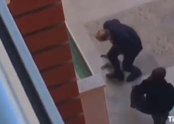 The cat killer is caught and punished!  Police discovered it from security cameras