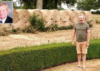 The millionaire builds a 2.5 meter straw wall because he won’t see the ‘clothes on the wire and picnics’ of his neighbors in Britain (photos)