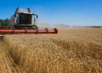 Ukrainian grain export coordination center to be opened in Istanbul