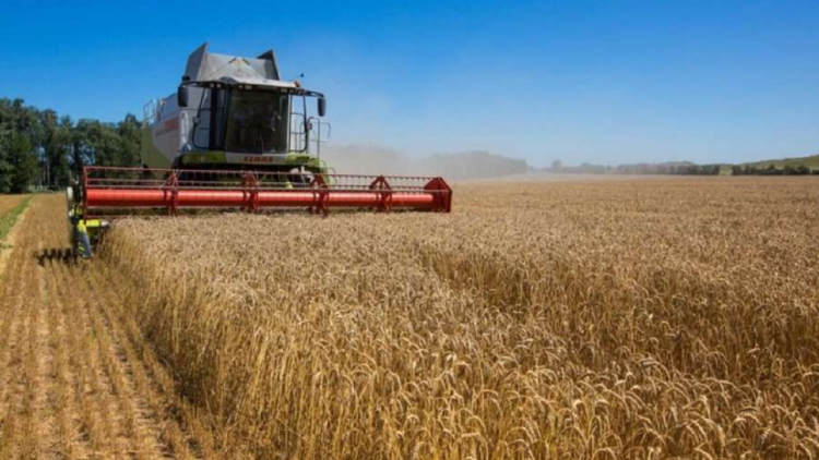 Ukrainian grain export coordination center to be opened in Istanbul