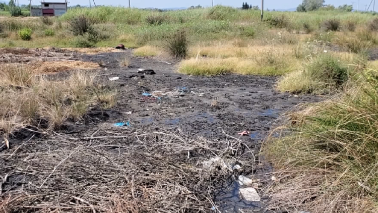 Heat increases pollution/ High temperatures melt crude oil in Fier