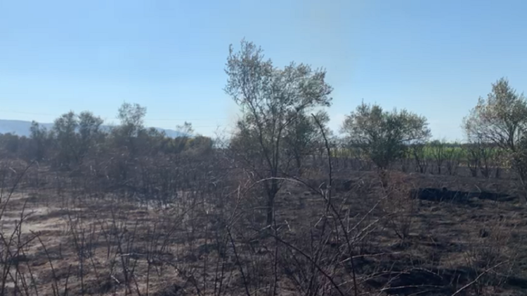 Fire in Troshan of Lezha, residents try to put it out with circumstantial means