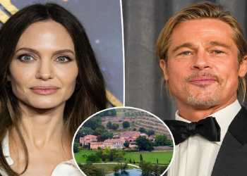 Angelina Jolie or Brad Pitt, who won the last court case?!