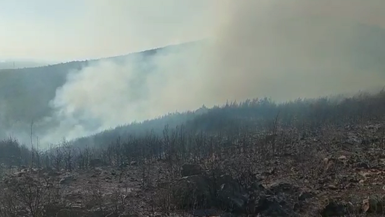 Entire forest areas are destroyed in Fushë Krujë, the army forces are working to extinguish the flames