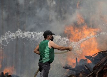 Difficult situation in Portugal, temperatures up to 43 degrees and massive fires