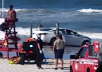 ‘Terror follows’ as the car learns the beach with people in Florida, USA (Video-photos)