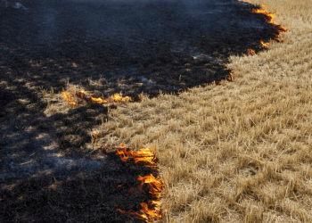 Ukraine, preparations to start grain export