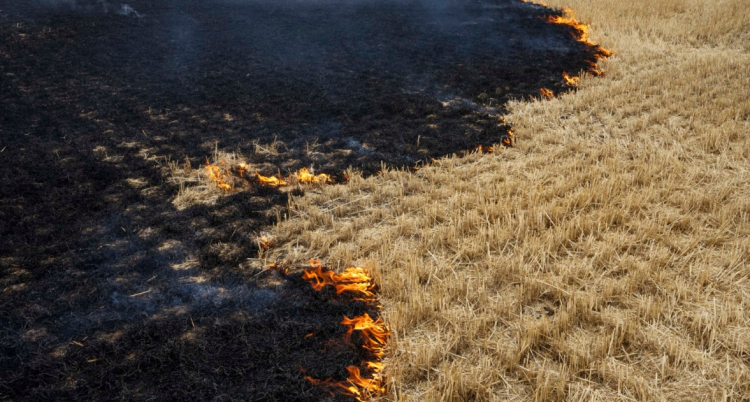 Ukraine, preparations to start grain export