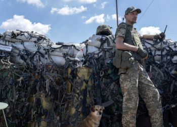 American and British instructors train members of the Ukrainian territorial defense