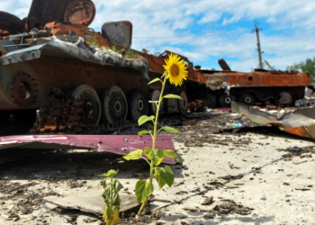 “Firepower” will determine the fate of the war in Ukraine