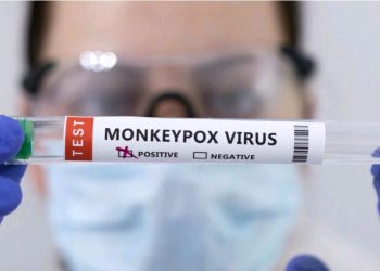 EU approves use of monkeypox vaccine