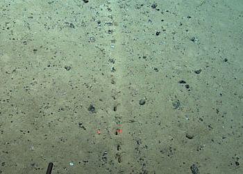 Lined up perfectly/ Mysterious holes in the Atlantic Ocean floor are discovered