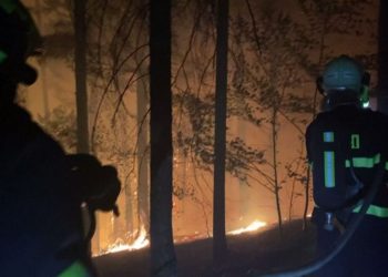 Czech firefighters battle flames in national park near German border (photos)