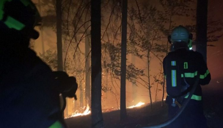 Czech firefighters battle flames in national park near German border (photos)