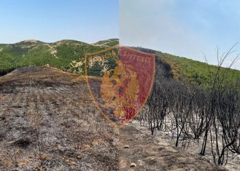 He lit a fire on his land, but a large area of forest was burned, the 59-year-old man is under investigation
