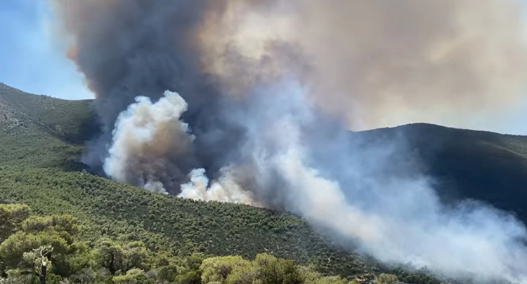 Video/ Attica under the “power” of fires, the forest area of Porto Germenos in Greece is burning