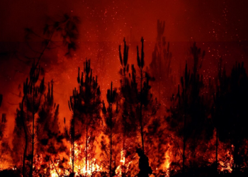 What is behind the deadly wave of fires in Europe?