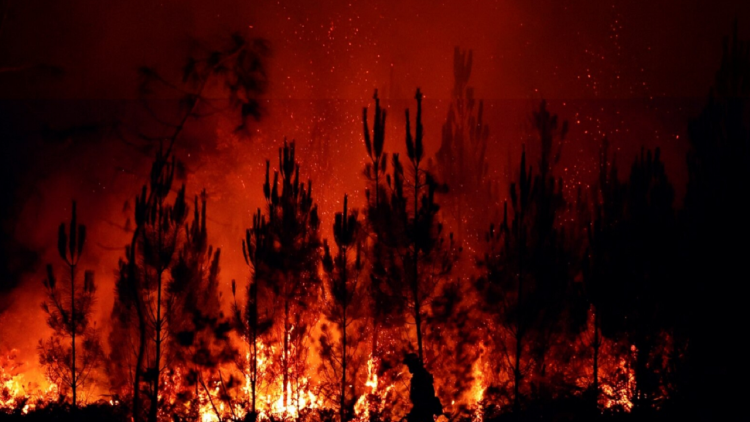 What is behind the deadly wave of fires in Europe?