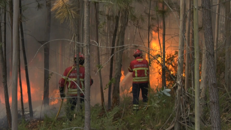 Inferno of fires in Europe, cars go through the flames