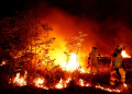 Hundreds of deaths in Europe / “Apocalypse” of the heat in France, the train in Spain goes through the flames